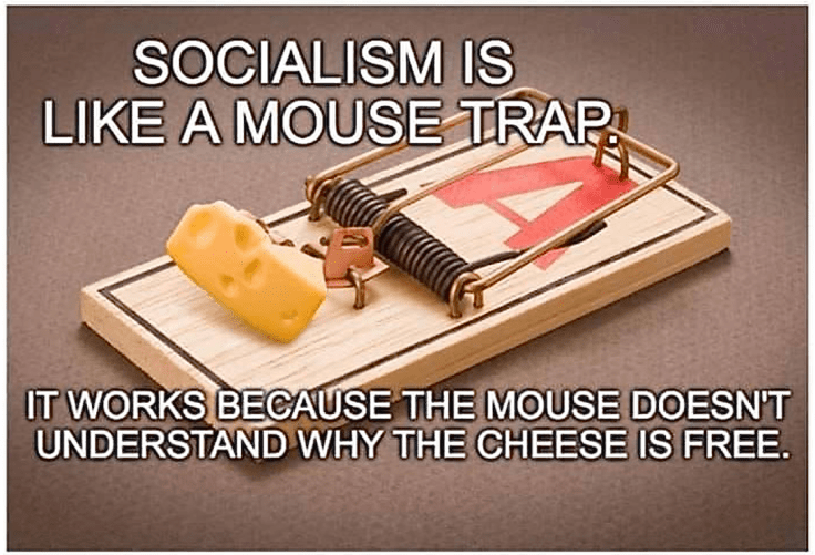 Screen Shot 2018-11-23 at 3.11.34 PM