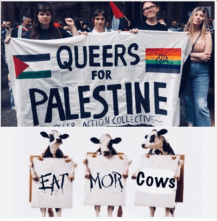 screen shot 2019-01-11 at 12.05.46 pm