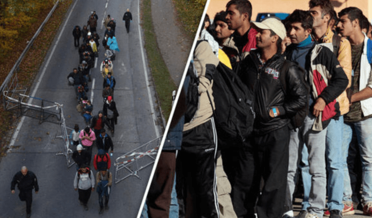 screen shot 2019-01-24 at 11.01.46 am