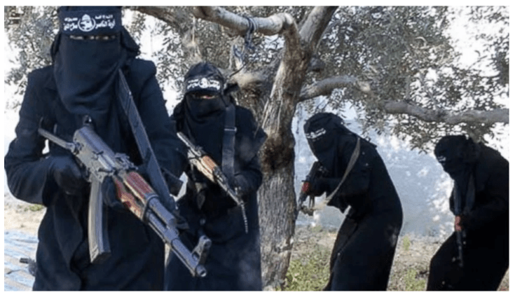 Screen Shot 2019-03-04 at 10.24.54 AM