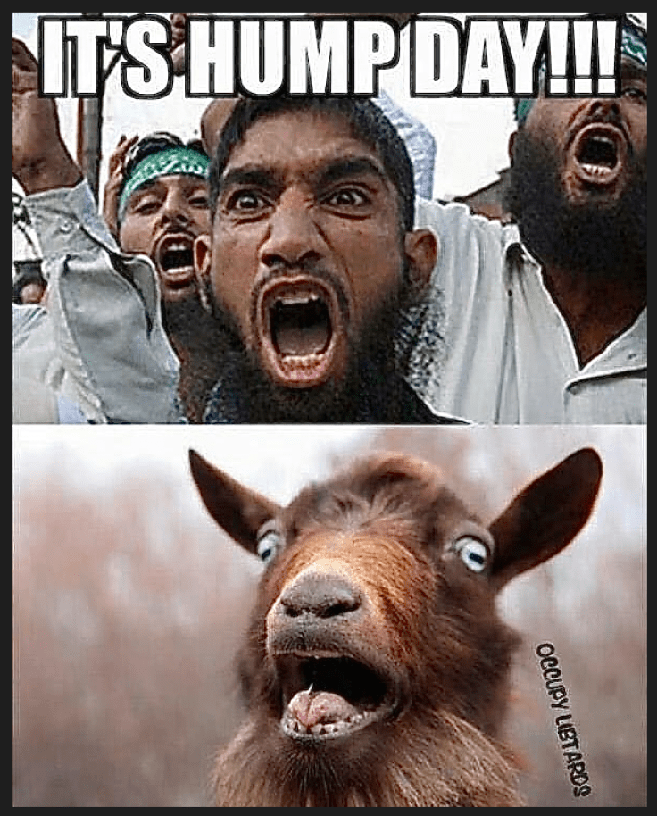 Screen Shot 2019-06-12 at 10.12.05 AM