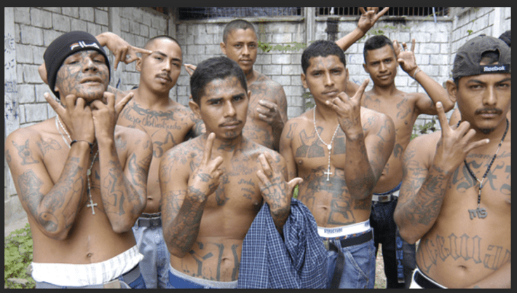 Screen Shot 2019-07-18 at 2.39.53 PM