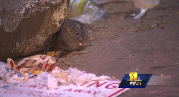 Screen Shot 2019-07-28 at 2.24.12 PM