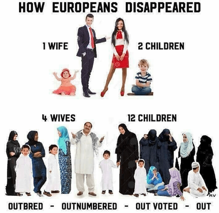 Screen Shot 2019-08-01 at 2.25.23 PM