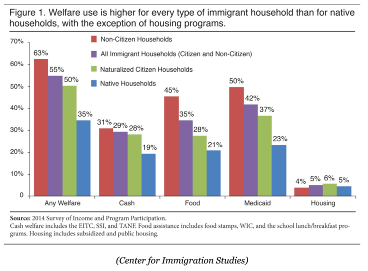 Screen Shot 2019-08-12 at 11.17.33 AM