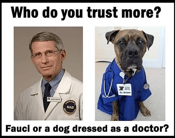 Screen Shot 2020-05-23 at 11.07.35 AM